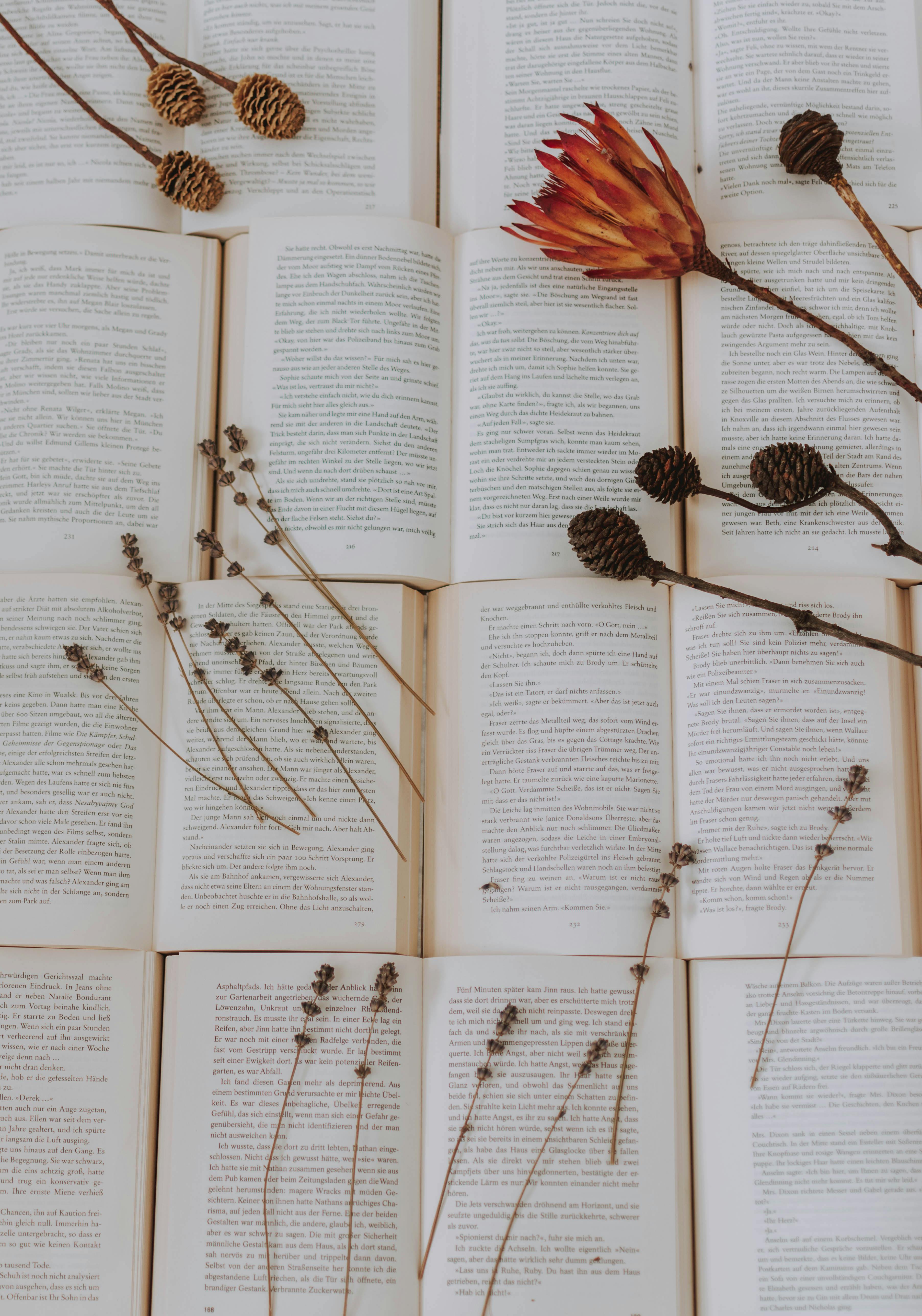 Dried flowers on open book pages