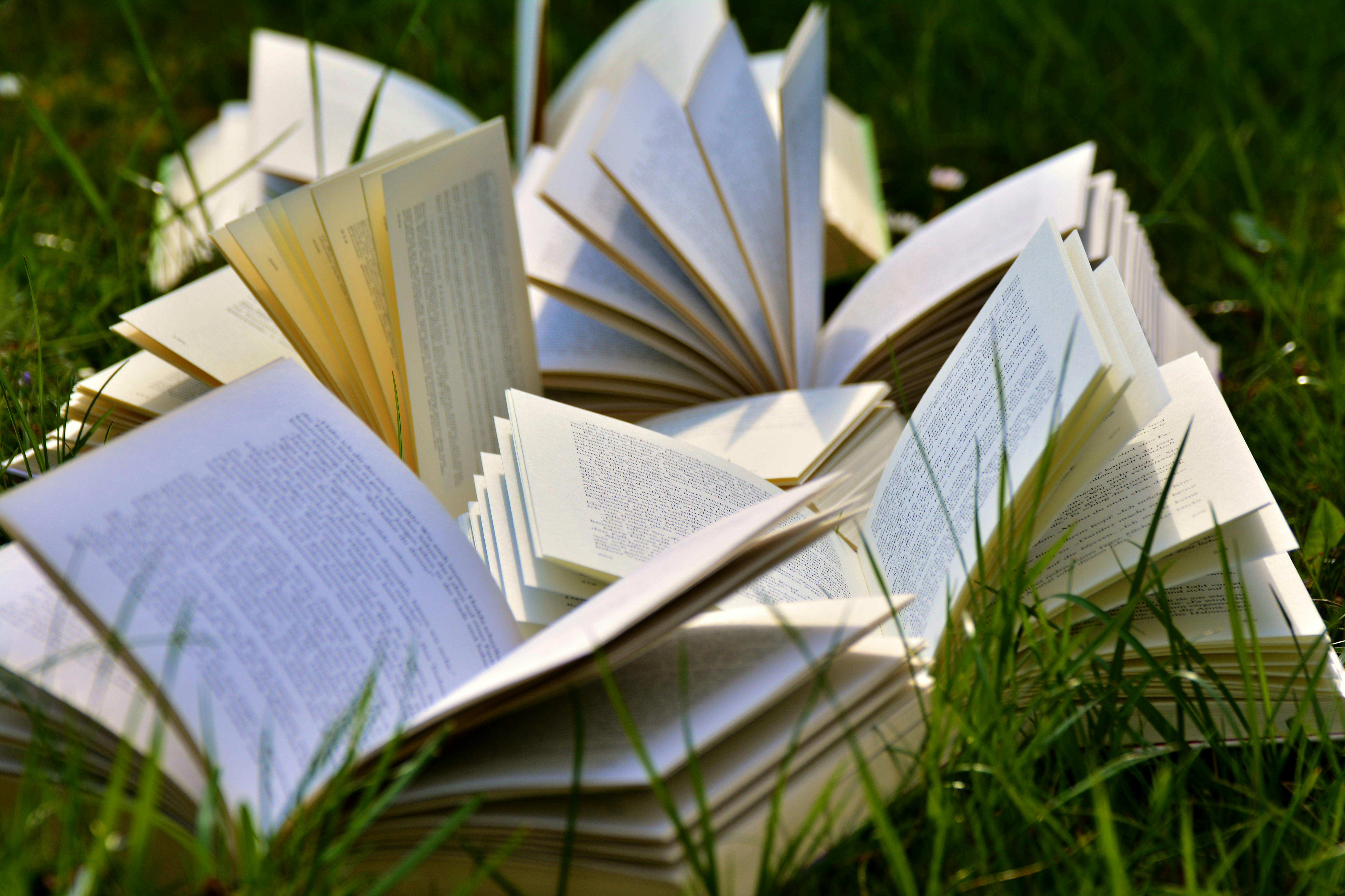 Various open books in the grass on a sunny day